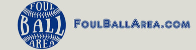 Foul Ball Area